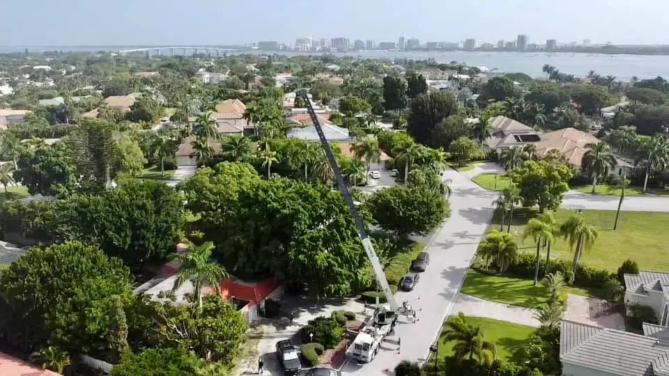 gallery Image 4 tree service