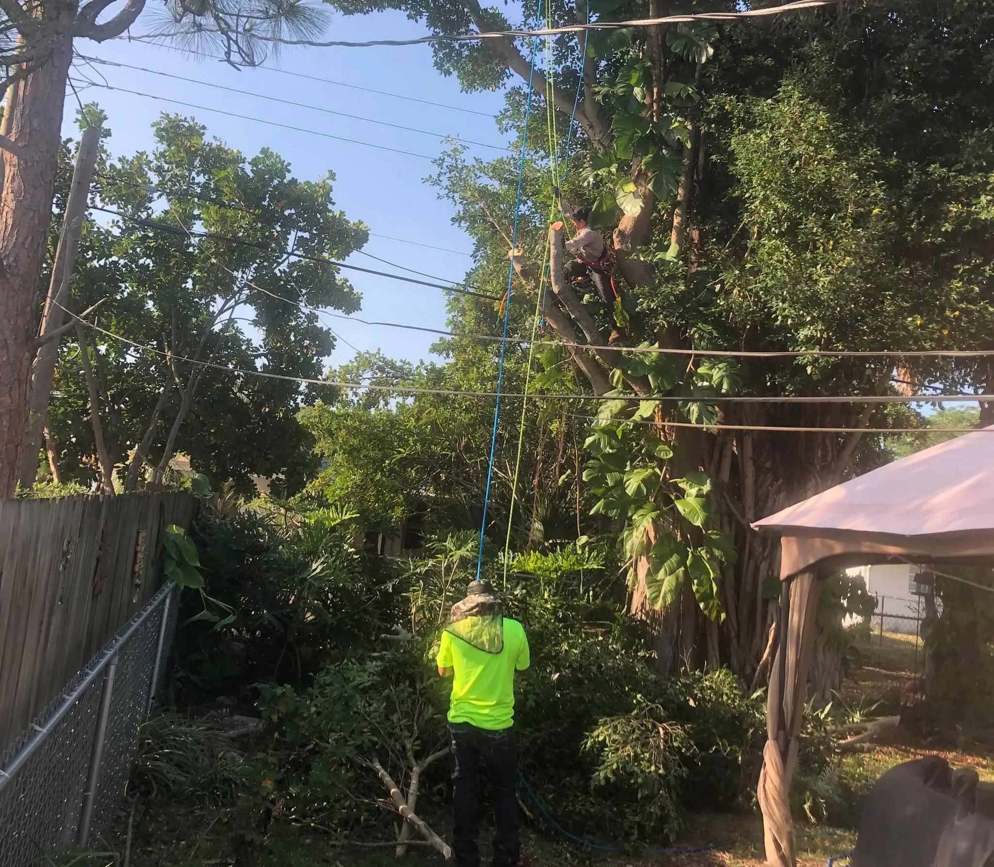 gallery Image 7 tree service