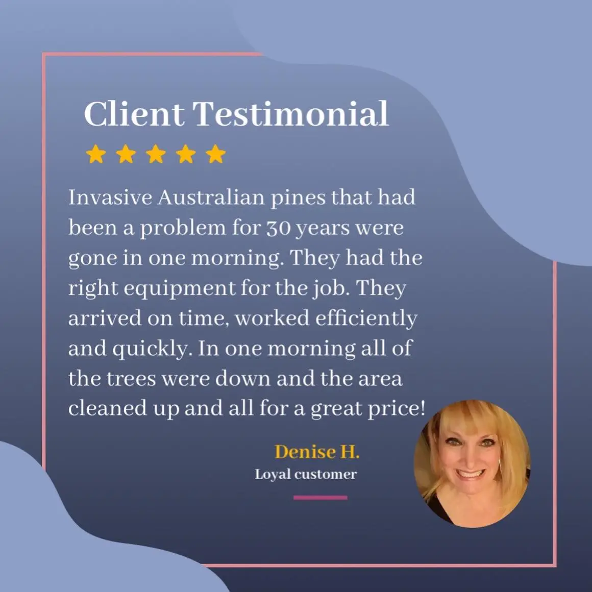 Testimonial from Denies H