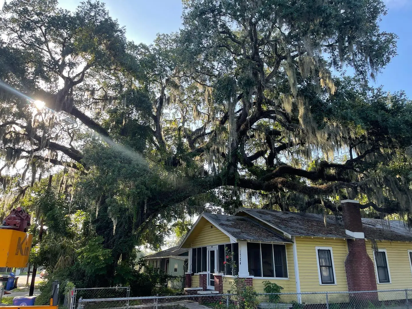 gallery Image 1 tree service