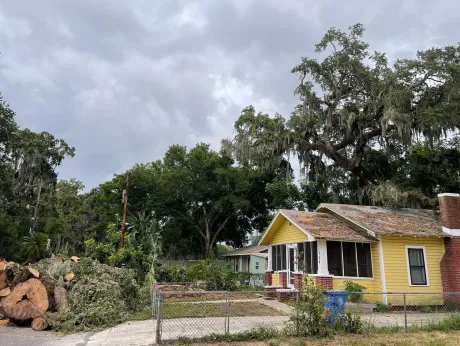 Gallery Image 3 Tree Service
