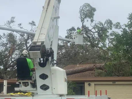 Gallery Image 5 Tree Service