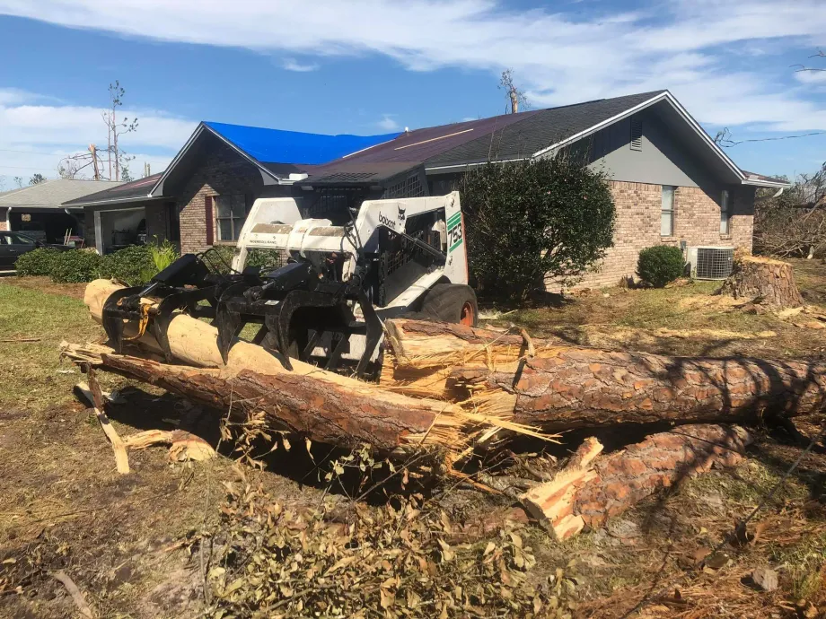 Gallery Image 8 Tree Service